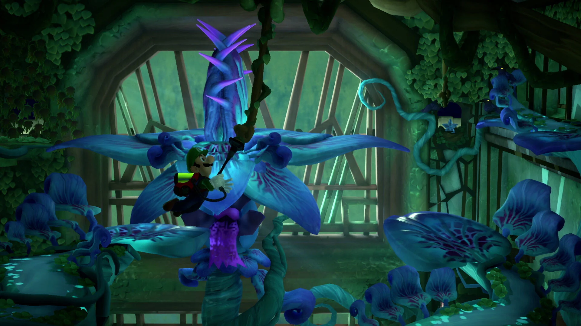 Thumbnail 7