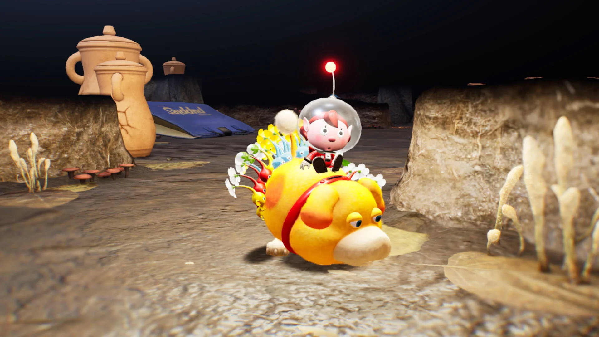 Thumbnail 16